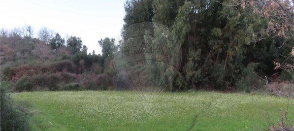 1 bedroom House in Fundao, Portugal No. 87953 29