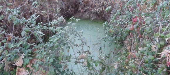 1 bedroom House in Fundao, Portugal No. 87953 22