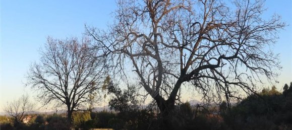 1 bedroom House in Fundao, Portugal No. 87953 25