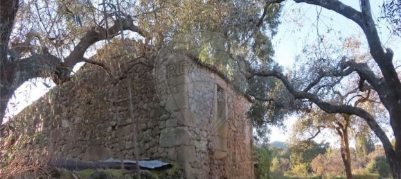 1 bedroom House in Fundao, Portugal No. 87953 5