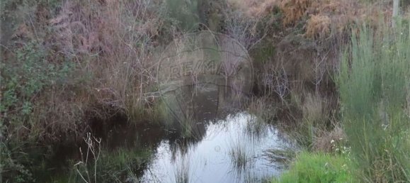 1 bedroom House in Fundao, Portugal No. 87953 31