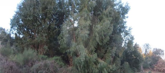 1 bedroom House in Fundao, Portugal No. 87953 30