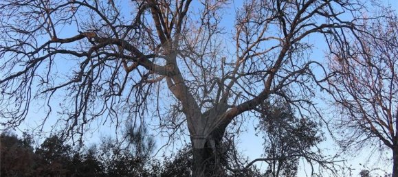 1 bedroom House in Fundao, Portugal No. 87953 24