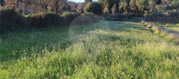 1 bedroom House in Fundao, Portugal No. 87953 4