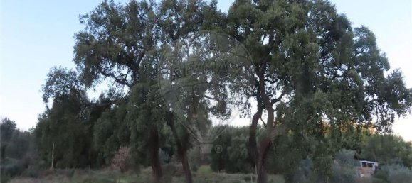 1 bedroom House in Fundao, Portugal No. 87953 27