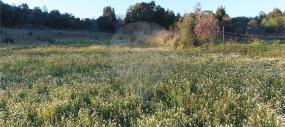 1 bedroom House in Fundao, Portugal No. 87953 20