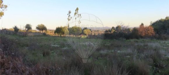 1 bedroom House in Fundao, Portugal No. 87953 23