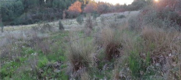 1 bedroom House in Fundao, Portugal No. 87953 21