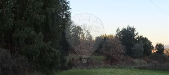 1 bedroom House in Fundao, Portugal No. 87953 33