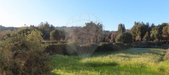 1 bedroom House in Fundao, Portugal No. 87953 3