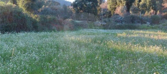 1 bedroom House in Fundao, Portugal No. 87953 17