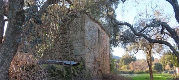 1 bedroom House in Fundao, Portugal No. 87953 6