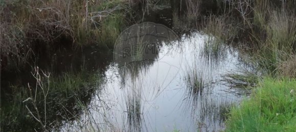 1 bedroom House in Fundao, Portugal No. 87953 32