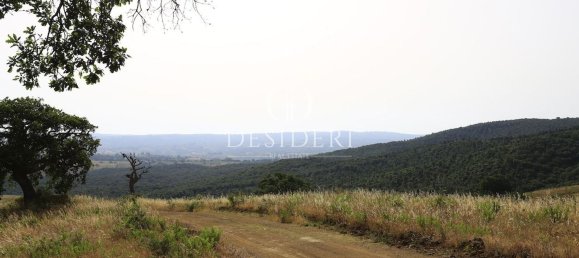 500m² Land in Grosseto, Italy No. 176336 26