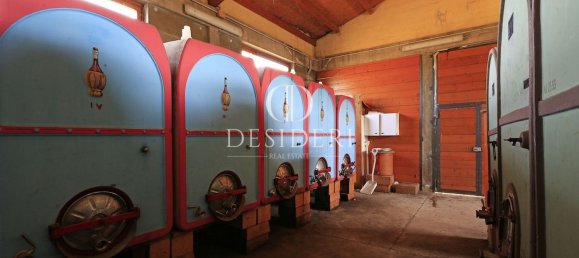 500m² Land in Grosseto, Italy No. 176336 21