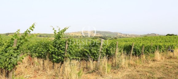 500m² Land in Grosseto, Italy No. 176336 23