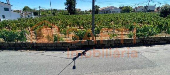 2 Schlafzimmer Haus in Lajeosa do Dao, Portugal, Nr. 219112 36