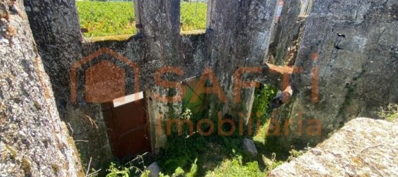 2 Schlafzimmer Haus in Lajeosa do Dao, Portugal, Nr. 219112 44