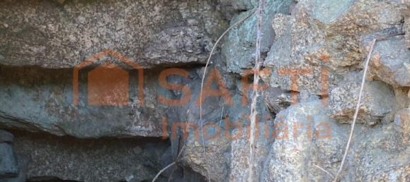 2 Schlafzimmer Haus in Lajeosa do Dao, Portugal, Nr. 219112 32