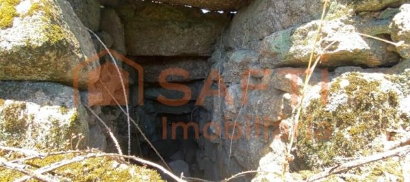 2 Schlafzimmer Haus in Lajeosa do Dao, Portugal, Nr. 219112 31