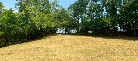 1 room Warehouse in San Bonifacio, Italy No. 312818 2