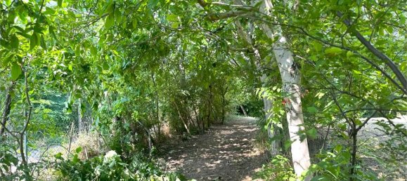 1 room Warehouse in San Bonifacio, Italy No. 312818 3