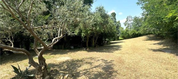 1 room Warehouse in San Bonifacio, Italy No. 312818 10