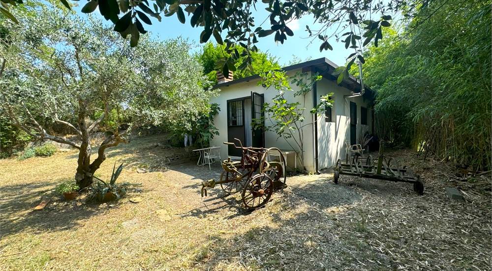 1 room Warehouse in San Bonifacio, Italy No. 312818