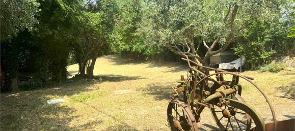 1 room Warehouse in San Bonifacio, Italy No. 312818 11