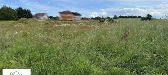  Land in Karlstetten, Austria No. 14230 5