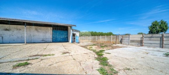 Entrepôt à Volvera, Italy 700m² No. 264973 12