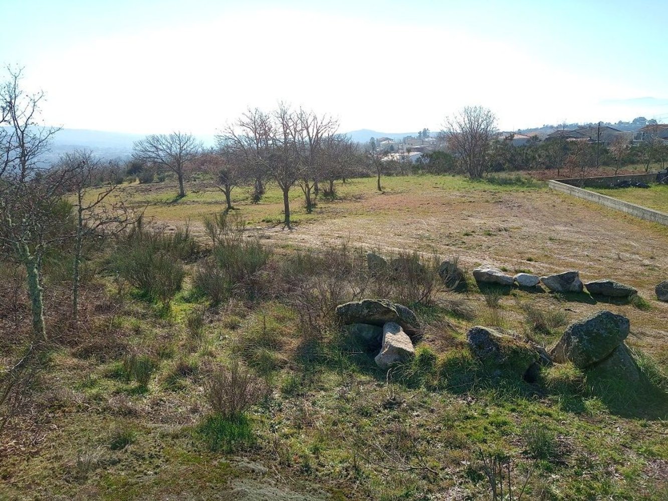  Land in Vila Real, Portugal No. 335666