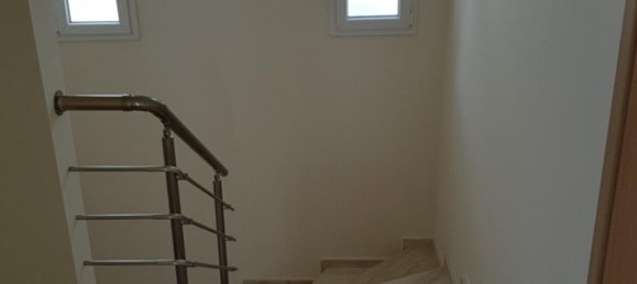 4 Schlafzimmer Villa in Paphos, Cyprus, Nr. 96650 3