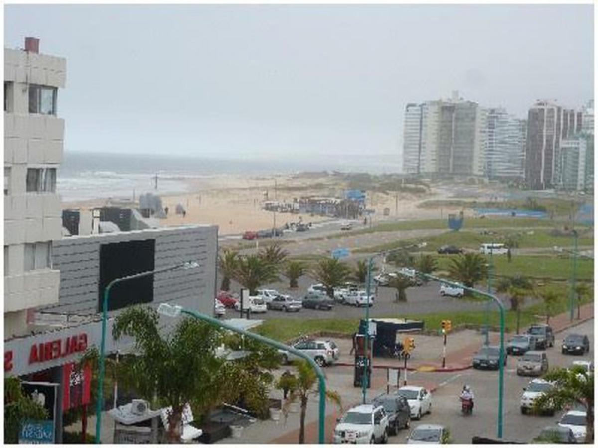 Квартира с 2 спальнями в Мальдонадо, Уругвай № 3479