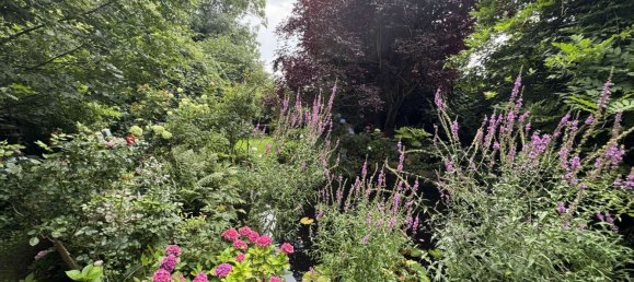 Дом с 4 комнатами в Pinneberg, Германия № 332997 14