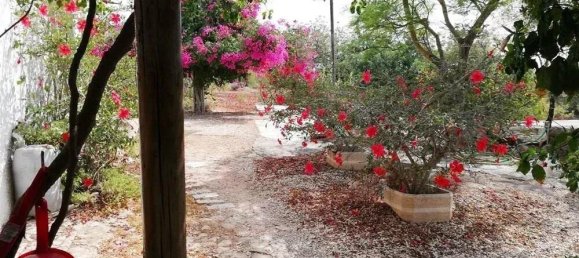 240m² Land in Tavira, Portugal No. 236870 7