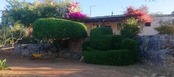 240m² Land in Tavira, Portugal No. 236870 5