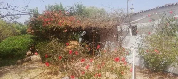 240m² Land in Tavira, Portugal No. 236870 9