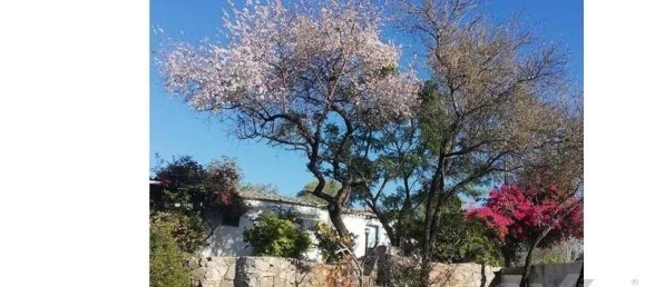 240m² Land in Tavira, Portugal No. 236870 14