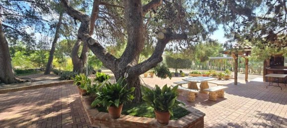 7 bedrooms House in Totana, Spain No. 181891 22