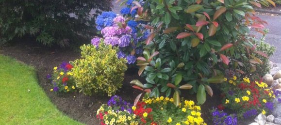 3 bedrooms Townhouse in Rhein-Sieg, Germany No. 137639 10