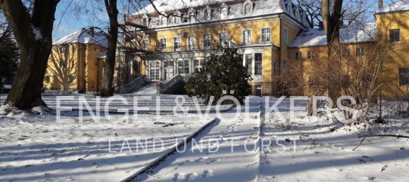 20غرفة منزل في Gorlitz, Germany رقم 201302 10