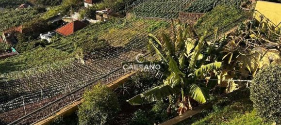 3 Schlafzimmer Haus in Camara de Lobos, Portugal, Nr. 112903 2