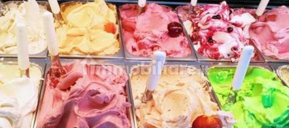 2 rooms Commercial property in Rome, Italy No. 337906 12