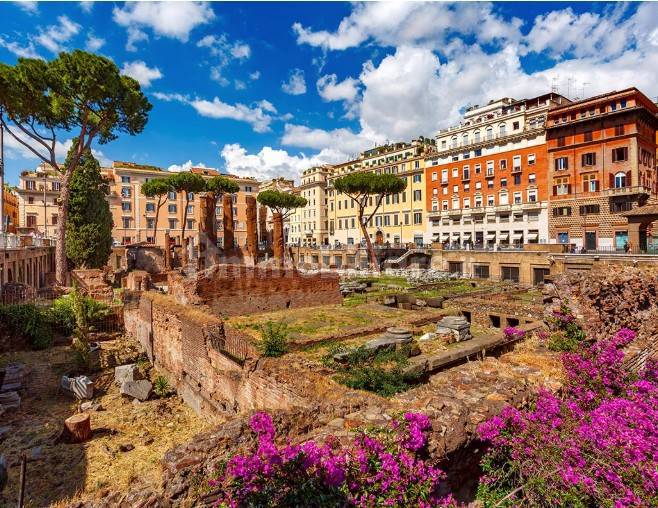 2 rooms Commercial property in Rome, Italy No. 337906