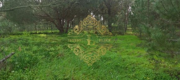 قطعة أرض في Sesimbra, Portugal 2750متر مربع رقم 145909 4