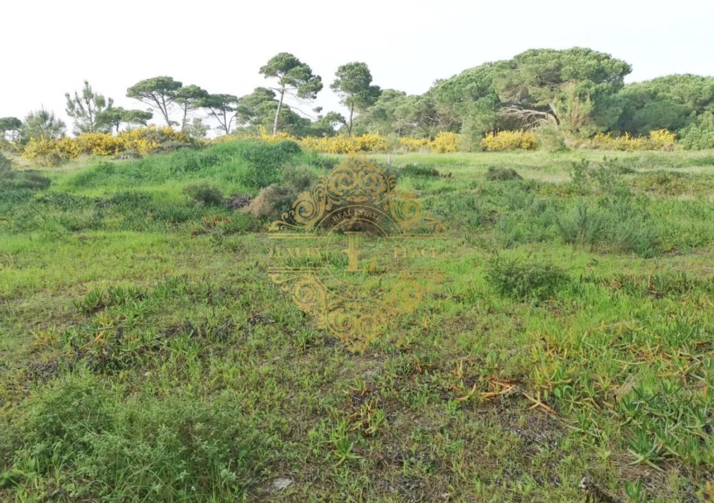  قطعة أرض في Sesimbra, Portugal 2750متر مربع رقم 145909