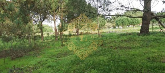 قطعة أرض في Sesimbra, Portugal 2750متر مربع رقم 145909 2