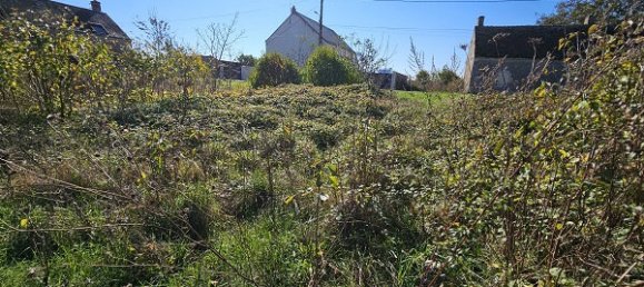  Land in Loir-et-Cher, France No. 222302 3