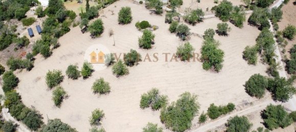 4 bedrooms House in Santa Catarina da Fonte do Bispo, Portugal No. 68740 14